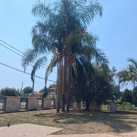 Cerocchi * Mesa (Latina)