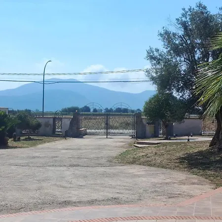 Cerocchi