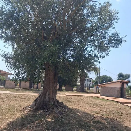 Cerocchi Holiday home Mesa (Latina)